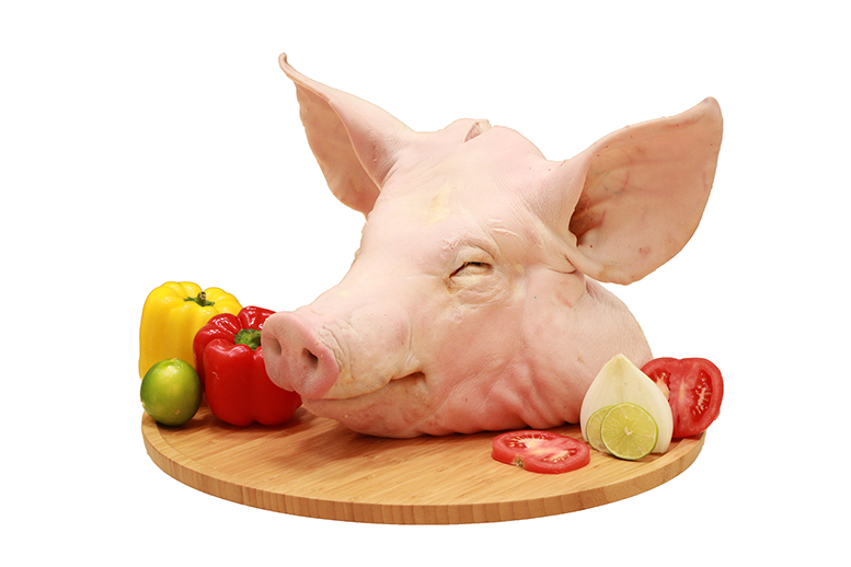 Cabeza de Cerdo